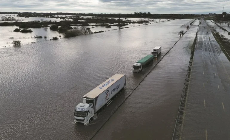 Bolívar, Nueve de Julio, Carlos Casares y Tapalqué: prorrogan la emergencia agropecuaria hasta 2026