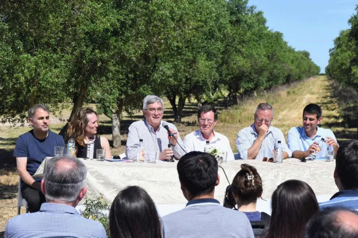 Coronel Dorrego: Se suma la Ruta del Olivo para articular producción y turismo