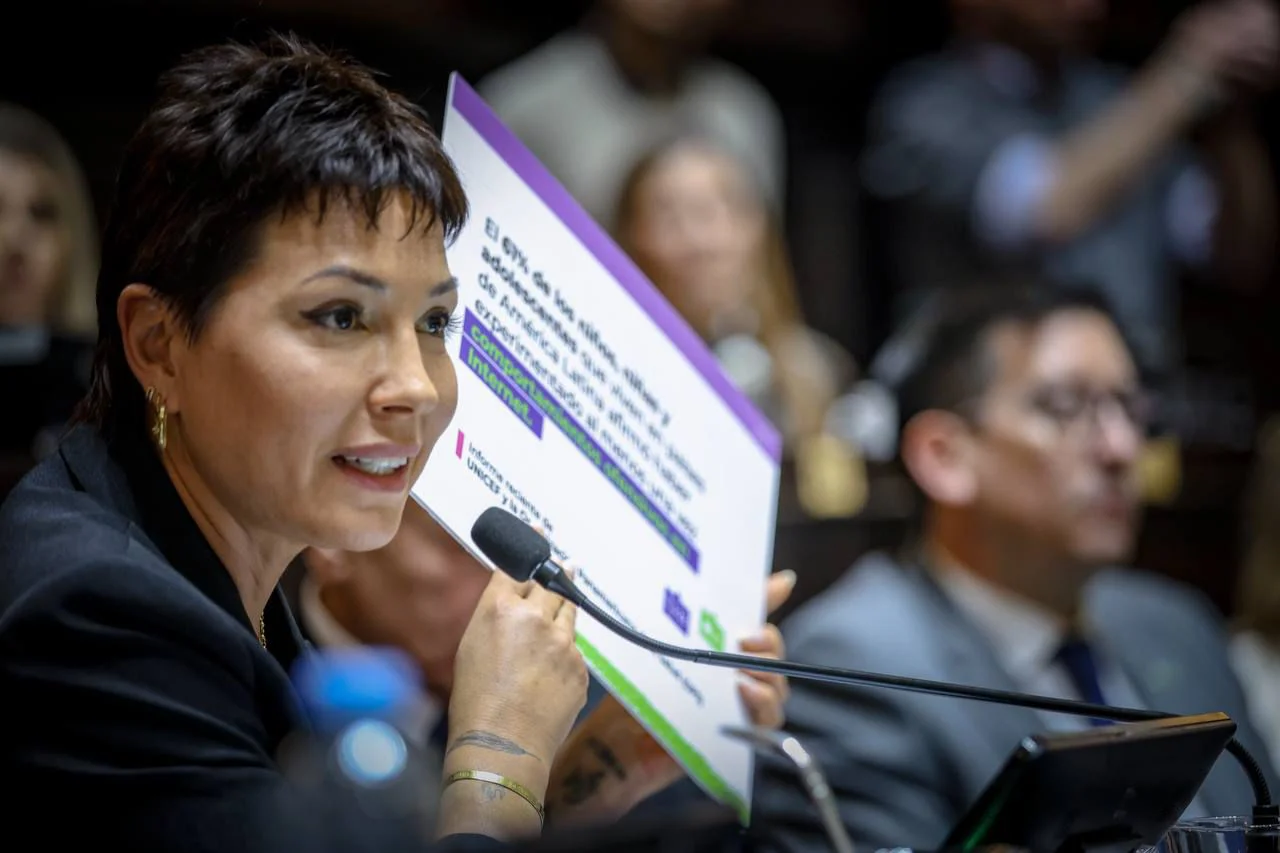 Provincia: Diputados dio media sanción a la Ley Ema contra la violencia digital en las escuelas